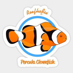 Percula Clownfish Sticker